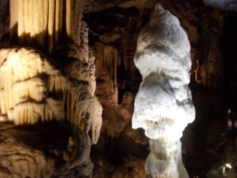 Il brillante - simbolo delle Grotte di Postumia